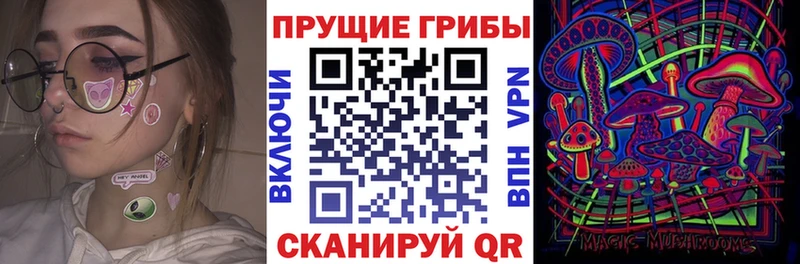 Купить где  Грязи  Галлюциногенные грибы Magic Shrooms 
